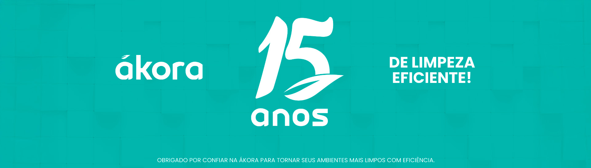 15anosl-banner-wide-2025-03-28